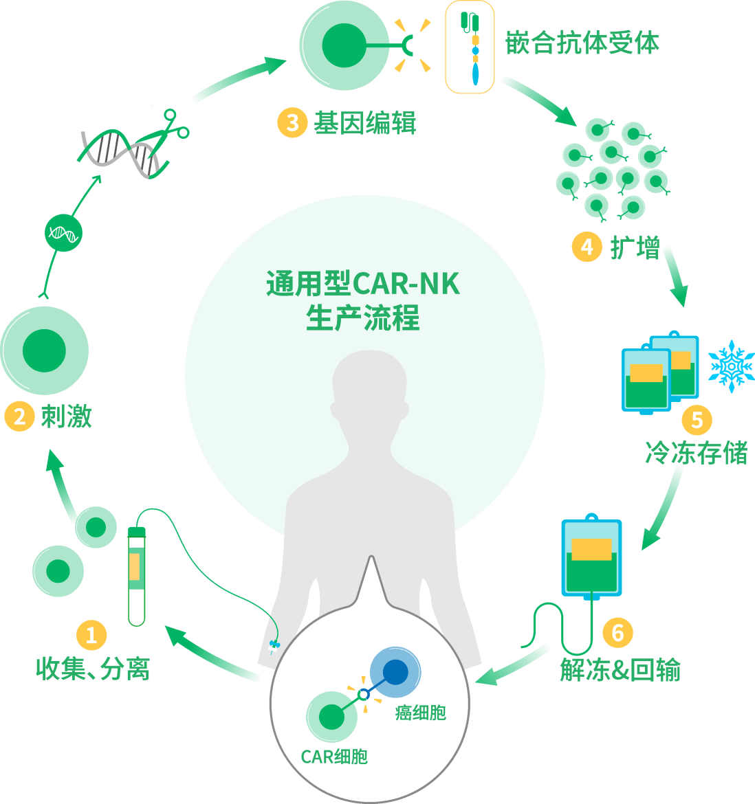 治疗重点领域